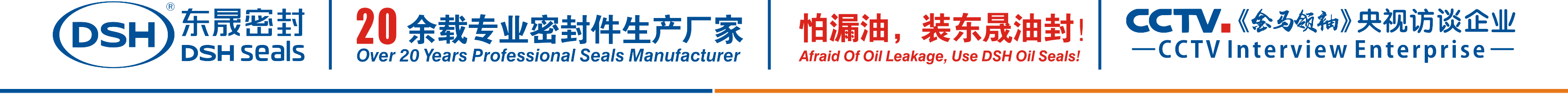 怕漏油，裝東晟油封！