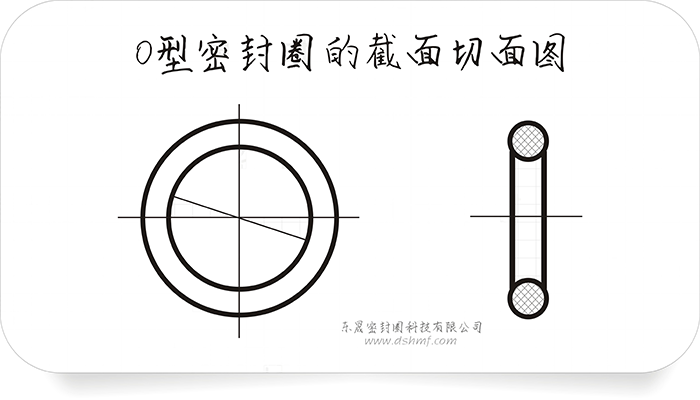 O型密封圈的截面切面圖4 O型密封圈的截面切面圖4