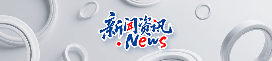 水處理行業(yè)案例丨泵閥密封件失效的5大原因及解決方案？