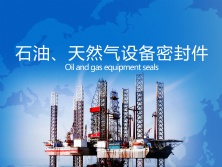 石油、天然氣行業(yè)密封件