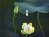 立夏已至，萬物向陽；