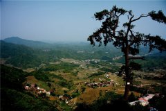 土壤水分速測儀在連翹種植中效果如何？