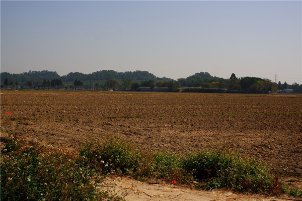 土壤水含量的變化對植物有哪些影響？