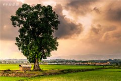 土壤水分速測儀主要有哪些優(yōu)點(diǎn)？