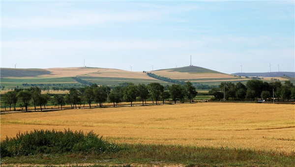 土壤墑情監(jiān)測(cè)站的分類(lèi)和特點(diǎn)分析