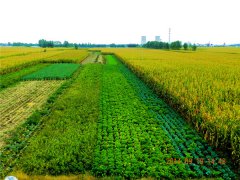 使用土壤墑情速測(cè)儀有哪些好處？