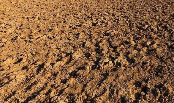 土壤墑情監(jiān)測烘干法介紹