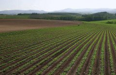 神經網絡法能用于土壤墑情預測嗎？