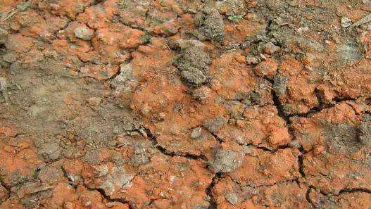 建設墑情自動監(jiān)測系統(tǒng)的3個優(yōu)勢 建設墑情自動監(jiān)測系統(tǒng)的3個優(yōu)勢