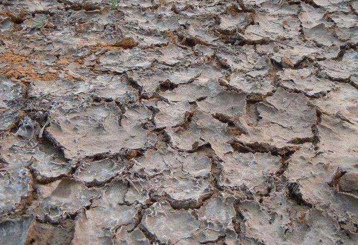 土壤墑情監(jiān)測系統(tǒng)在物聯(lián)網(wǎng)浪潮下的升級(jí)換代