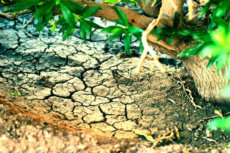 土壤墑情監(jiān)測(cè)系統(tǒng)引領(lǐng)墑情信息化監(jiān)測(cè)管理