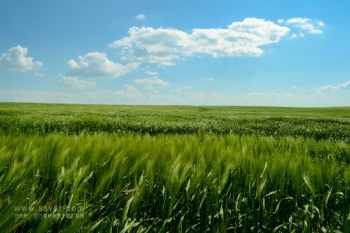 智慧農(nóng)業(yè)帶來了什么？